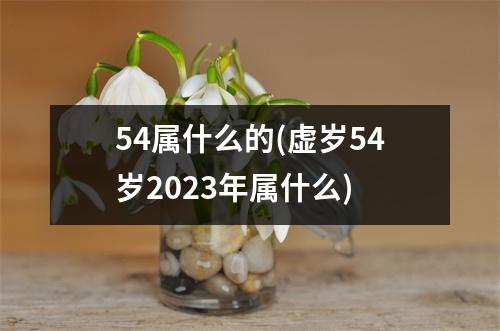 54属什么的(虚岁54岁2023年属什么)