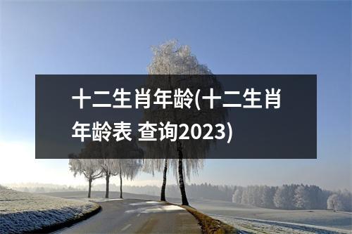 十二生肖年龄(十二生肖年龄表 查询2023)