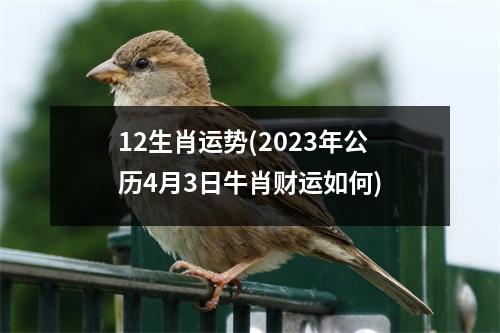 12生肖运势(2023年公历4月3日牛肖财运如何)