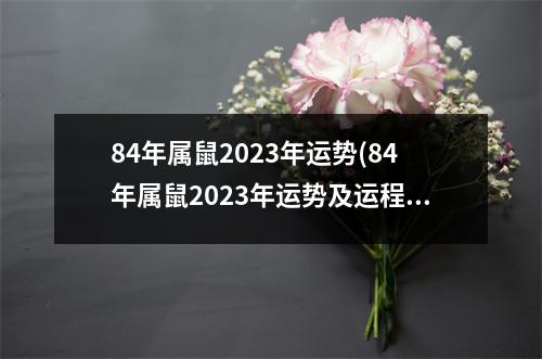 84年属鼠2023年运势(84年属鼠2023年运势及运程每月运程详解)