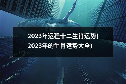 2023年运程十二生肖运势(2023年的生肖运势大全)