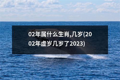 02年属什么生肖,几岁(2002年虚岁几岁了2023)