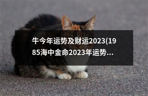 牛今年运势及财运2023(1985海中金命2023年运势)