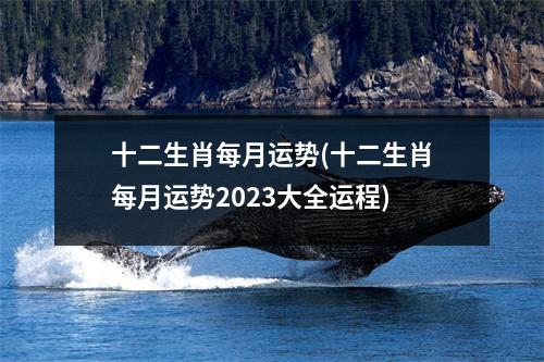 十二生肖每月运势(十二生肖每月运势2023大全运程)