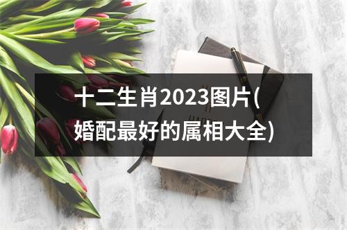 十二生肖2023图片(婚配好的属相大全)