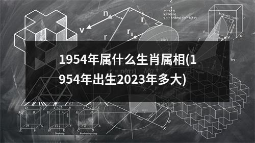 1954年属什么生肖属相(1954年出生2023年多大)