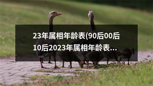 23年属相年龄表(90后00后10后2023年属相年龄表)