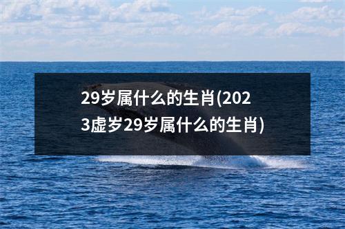 29岁属什么的生肖(2023虚岁29岁属什么的生肖)