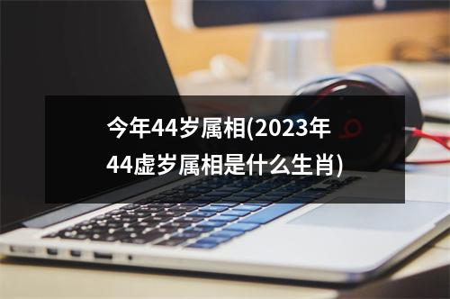 今年44岁属相(2023年44虚岁属相是什么生肖)