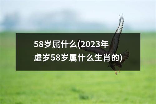 58岁属什么(2023年虚岁58岁属什么生肖的)