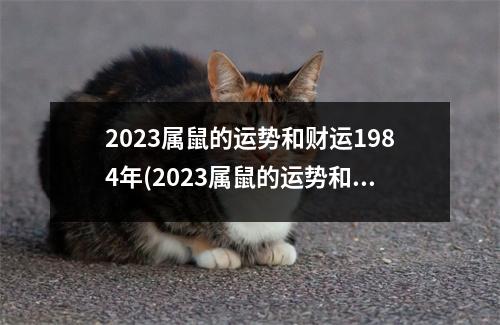 2023属鼠的运势和财运1984年(2023属鼠的运势和财运1984年大吉方位)