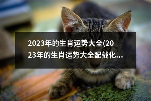 2023年的生肖运势大全(2023年的生肖运势大全配戴化解)