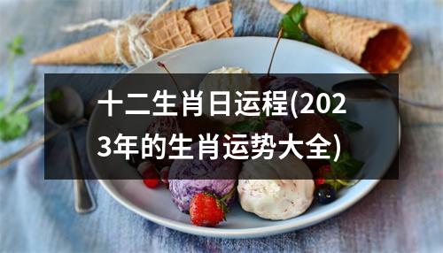 十二生肖日运程(2023年的生肖运势大全)