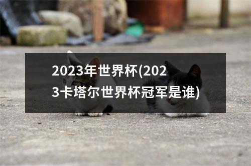 2023年世界杯(2023卡塔尔世界杯冠军是谁)