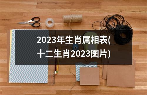 2023年生肖属相表(十二生肖2023图片)