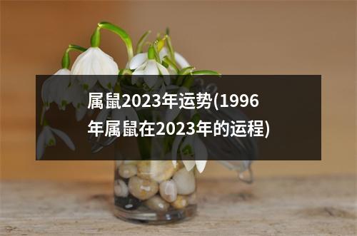 属鼠2023年运势(1996年属鼠在2023年的运程)