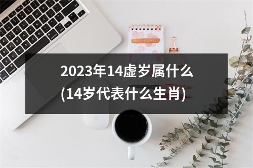 2023年14虚岁属什么(14岁代表什么生肖)