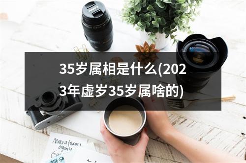 35岁属相是什么(2023年虚岁35岁属啥的)