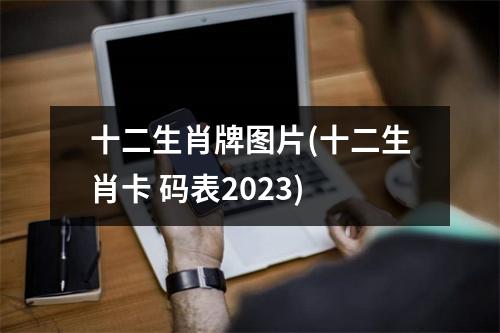 十二生肖牌图片(十二生肖卡 码表2023)