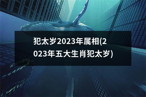 犯太岁2023年属相(2023年五大生肖犯太岁)