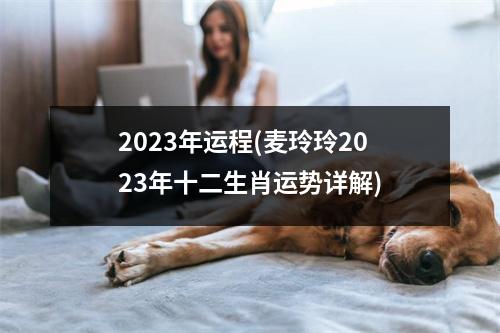 2023年运程(麦玲玲2023年十二生肖运势详解)