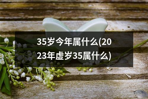 35岁今年属什么(2023年虚岁35属什么)