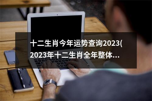 十二生肖今年运势查询2023(2023年十二生肖全年整体运势大全)