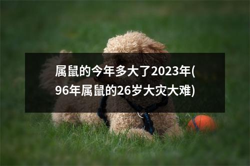 属鼠的今年多大了2023年(96年属鼠的26岁大灾大难)