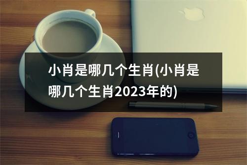 小肖是哪几个生肖(小肖是哪几个生肖2023年的)