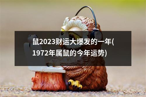 鼠2023财运大爆发的一年(1972年属鼠的今年运势)