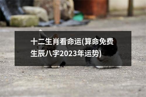 十二生肖看命运(算命免费 生辰八字2023年运势)