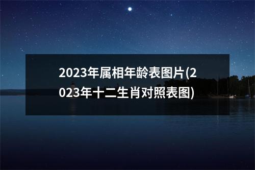 2023年属相年龄表图片(2023年十二生肖对照表图)