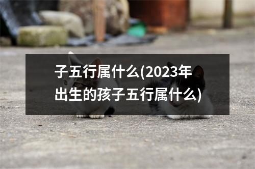 子五行属什么(2023年出生的孩子五行属什么)