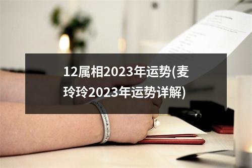 12属相2023年运势(麦玲玲2023年运势详解)