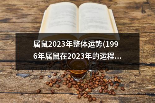 属鼠2023年整体运势(1996年属鼠在2023年的运程)