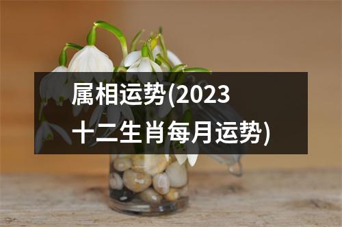 属相运势(2023十二生肖每月运势)