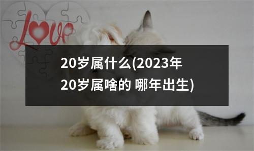 20岁属什么(2023年20岁属啥的 哪年出生)