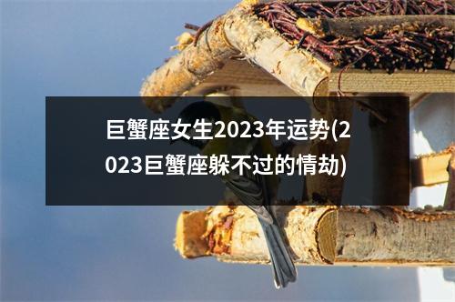 巨蟹座女生2023年运势(2023巨蟹座躲不过的情劫)