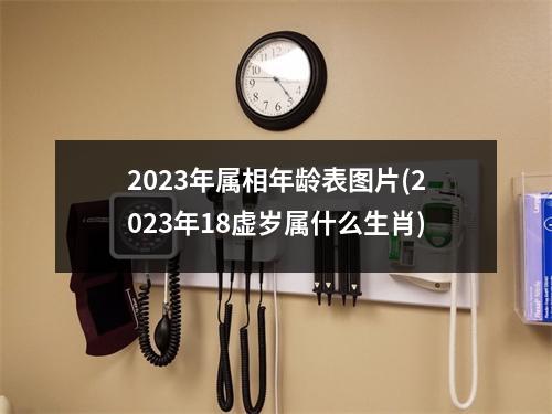 2023年属相年龄表图片(2023年18虚岁属什么生肖)