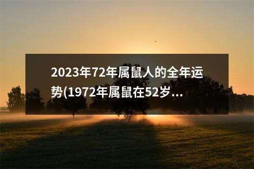 2023年72年属鼠人的全年运势(1972年属鼠在52岁有一个坎嘛)