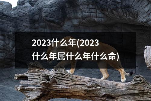 2023什么年(2023什么年属什么年什么命)