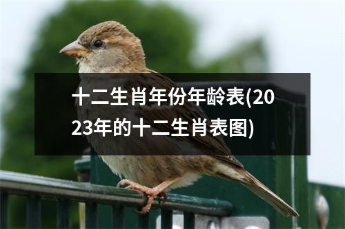 十二生肖年份年龄表(2023年的十二生肖表图)