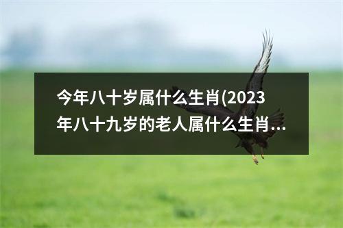 今年八十岁属什么生肖(2023年八十九岁的老人属什么生肖)