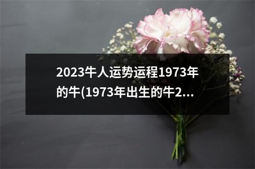 2023牛人运势运程1973年的牛(1973年出生的牛2023年运势怎么样)