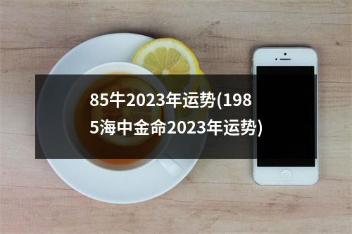 85牛2023年运势(1985海中金命2023年运势)