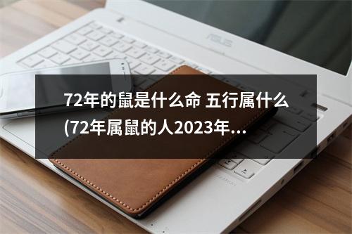 72年的鼠是什么命 五行属什么(72年属鼠的人2023年的运势及运程)