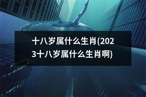 十八岁属什么生肖(2023十八岁属什么生肖啊)