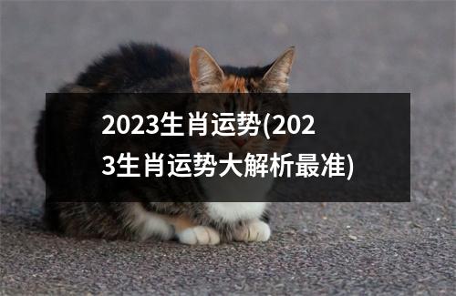 2023生肖运势(2023生肖运势大解析准)