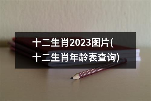 十二生肖2023图片(十二生肖年龄表查询)