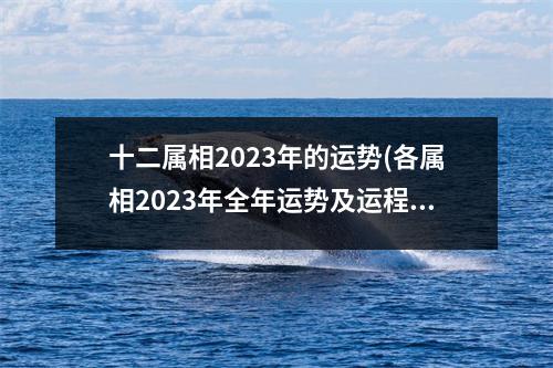 十二属相2023年的运势(各属相2023年全年运势及运程)